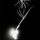 Image for article titled Capturing the Veined Beauty of Lightning